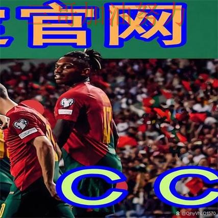 世界杯买球网站最新盘点实录：怎么玩真实情况曝光（世界杯官方信息）